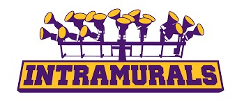 Guest Post: Why Intramurals? Why&nbsp;Not!